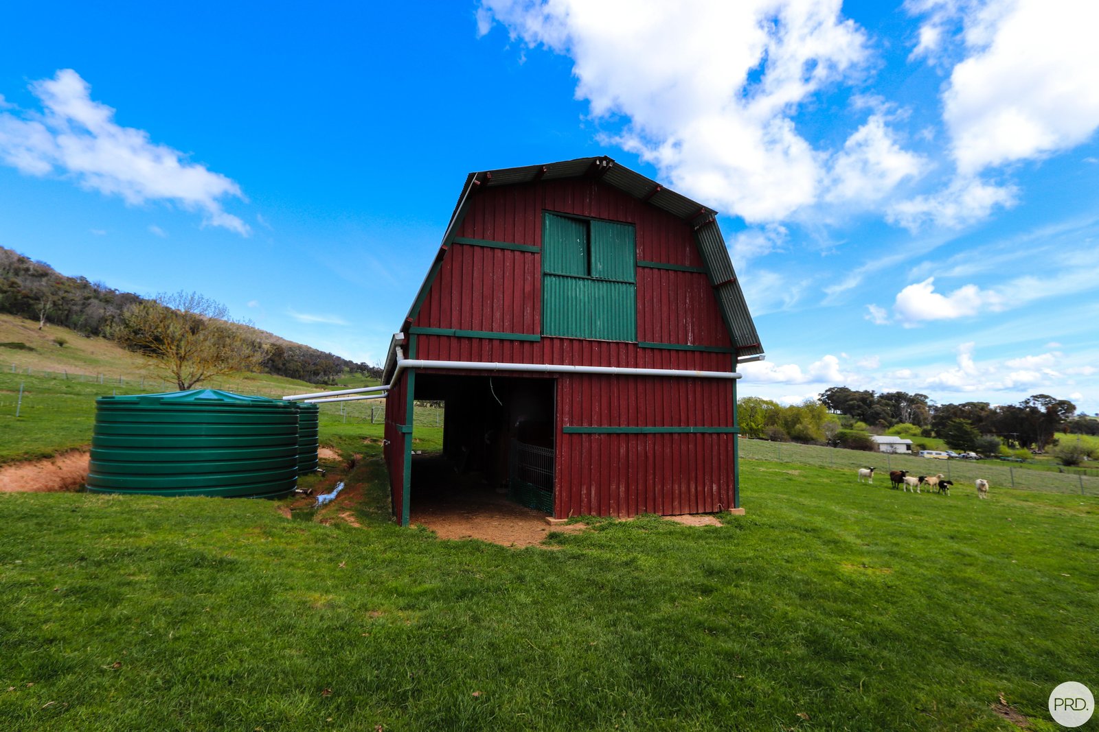 108 Pound Creek Road TUMBARUMBA 17