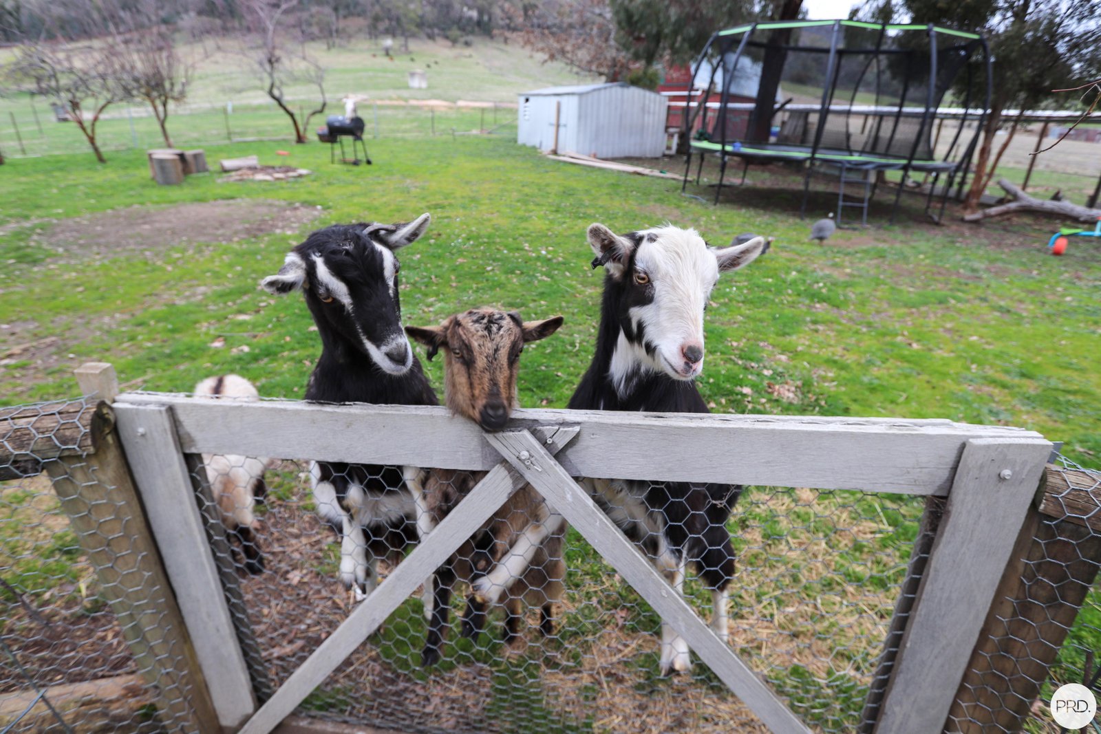 108 Pound Creek Road TUMBARUMBA 25