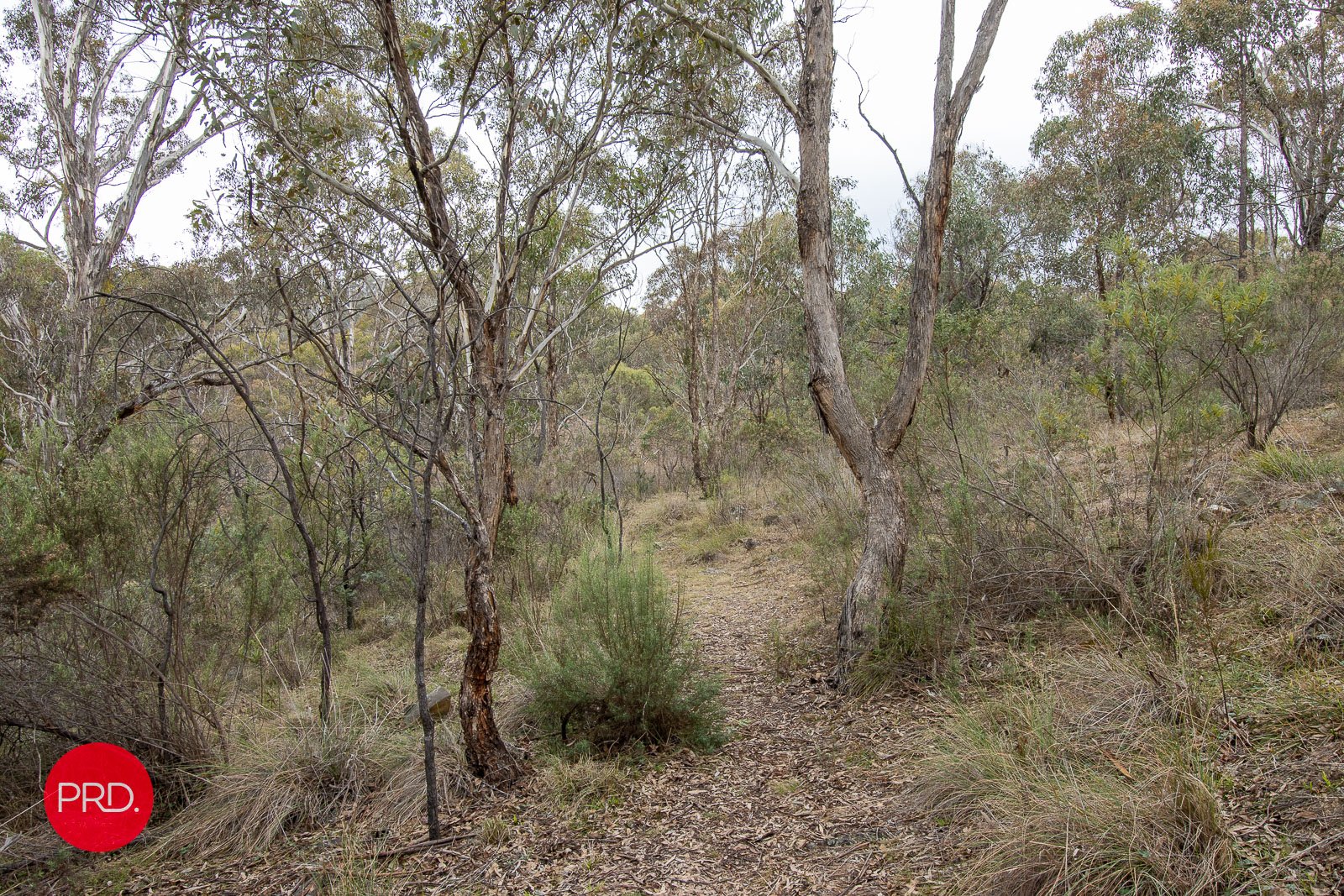 108 Powell Drive CARWOOLA 26