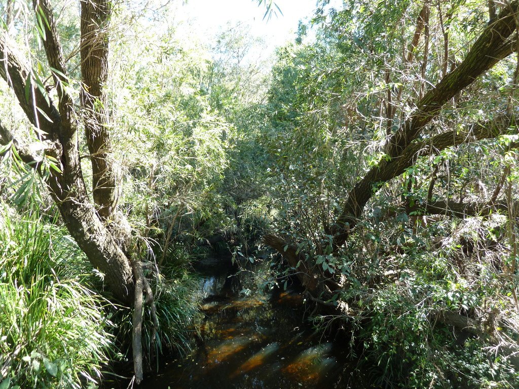 1088 Old Dyraaba Road KYOGLE 2