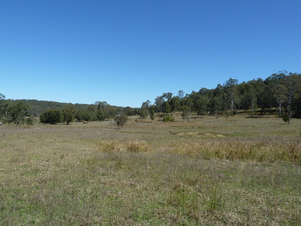 1088 Old Dyraaba Road KYOGLE 4