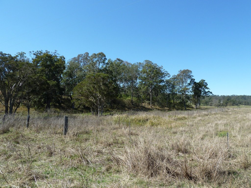 1088 Old Dyraaba Road KYOGLE 8