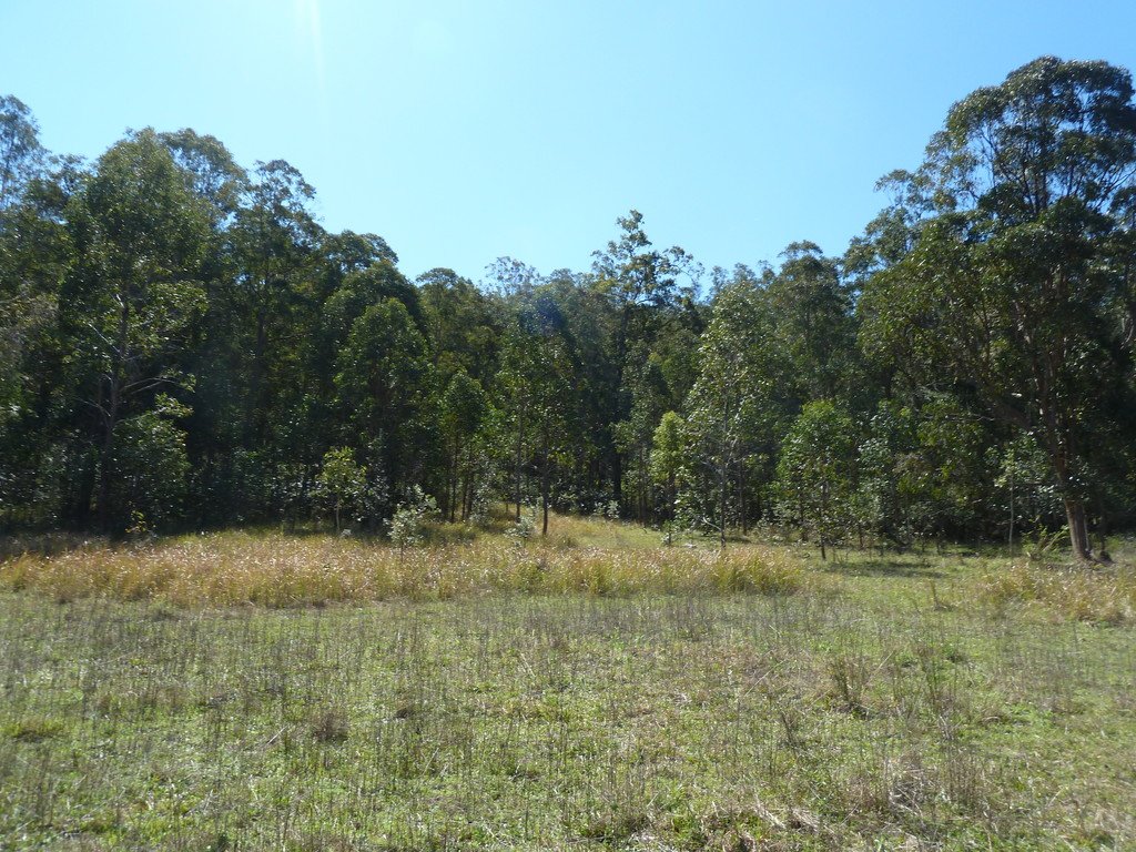 1088 Old Dyraaba Road KYOGLE 9