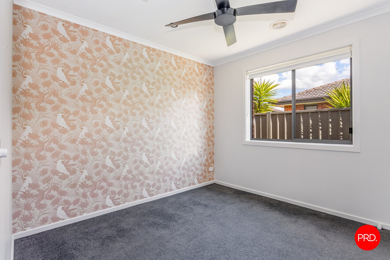 108A Andrew St  WHITE HILLS 13