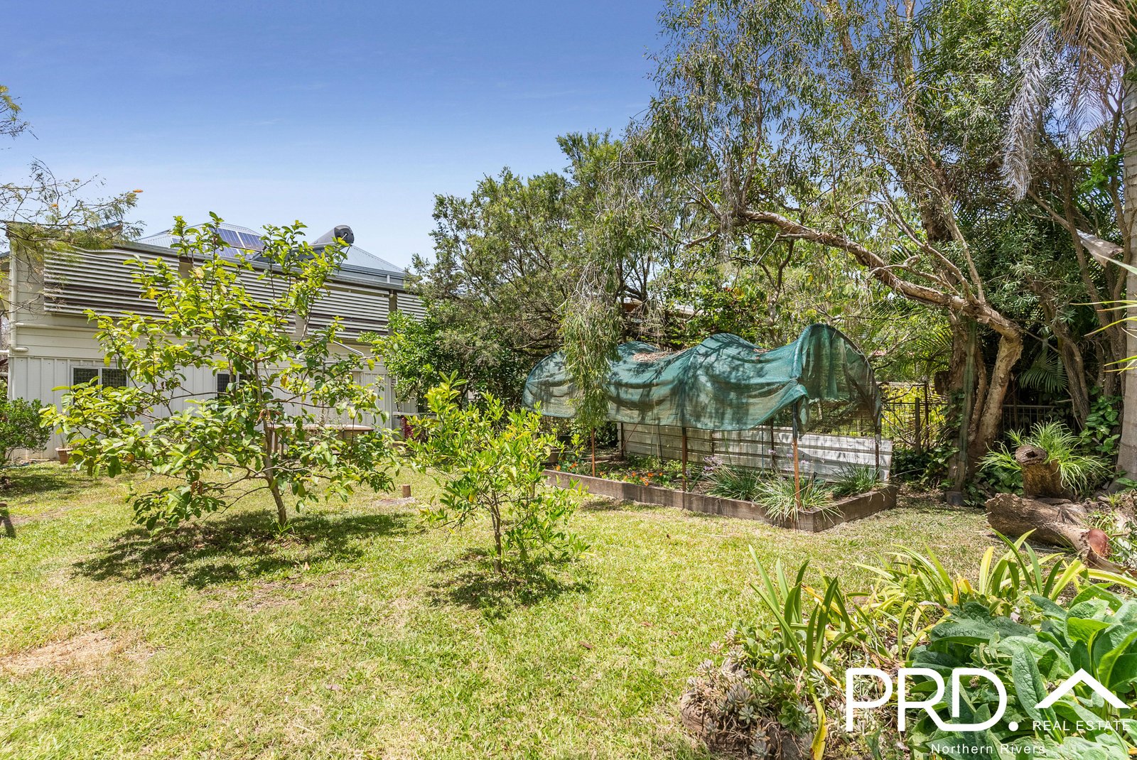 109 Crown Street SOUTH LISMORE 7