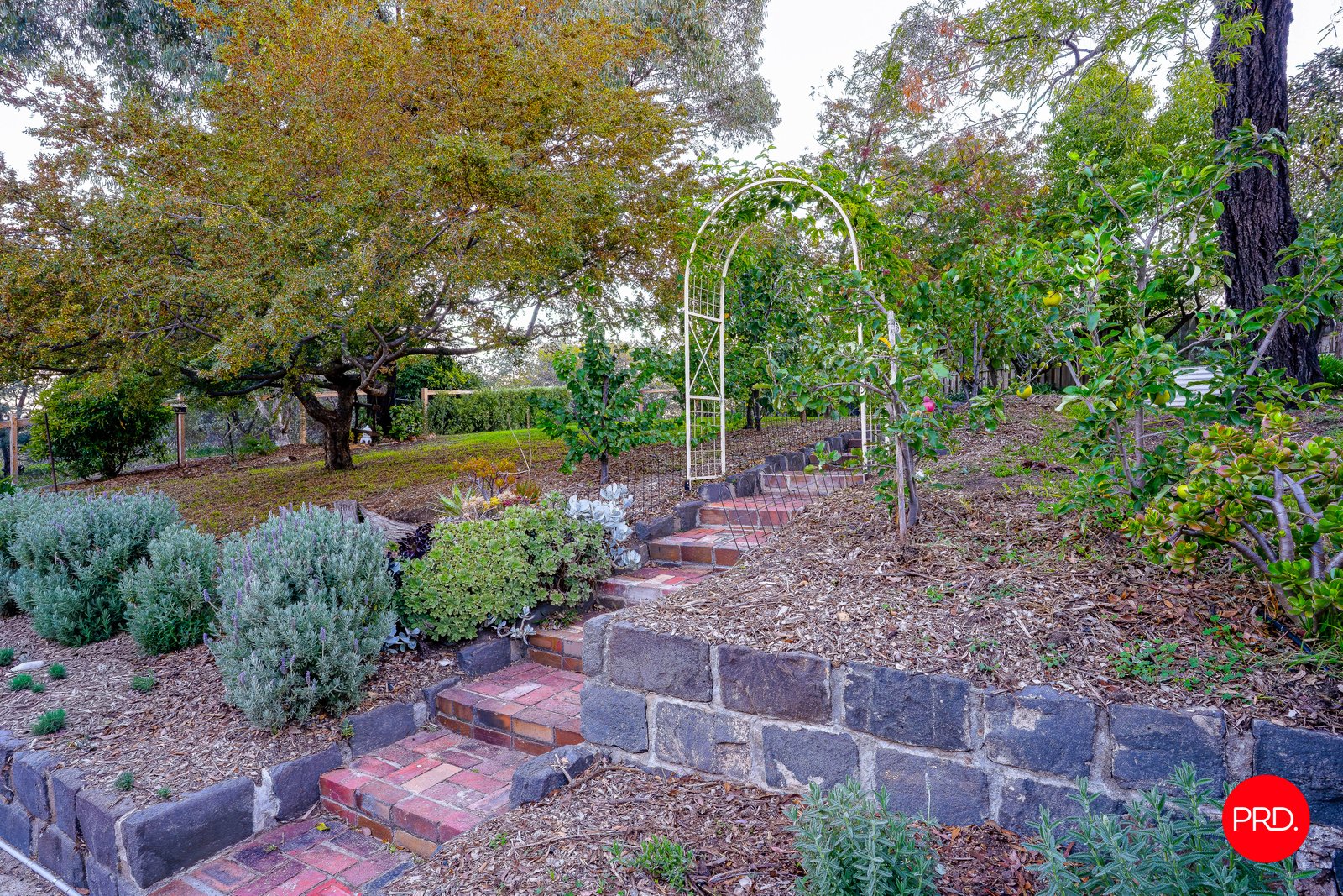109 Maple Street GOLDEN SQUARE 22
