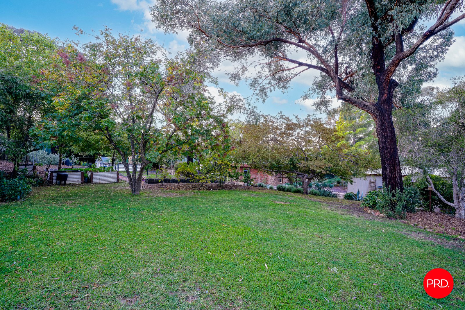 109 Maple Street GOLDEN SQUARE 23