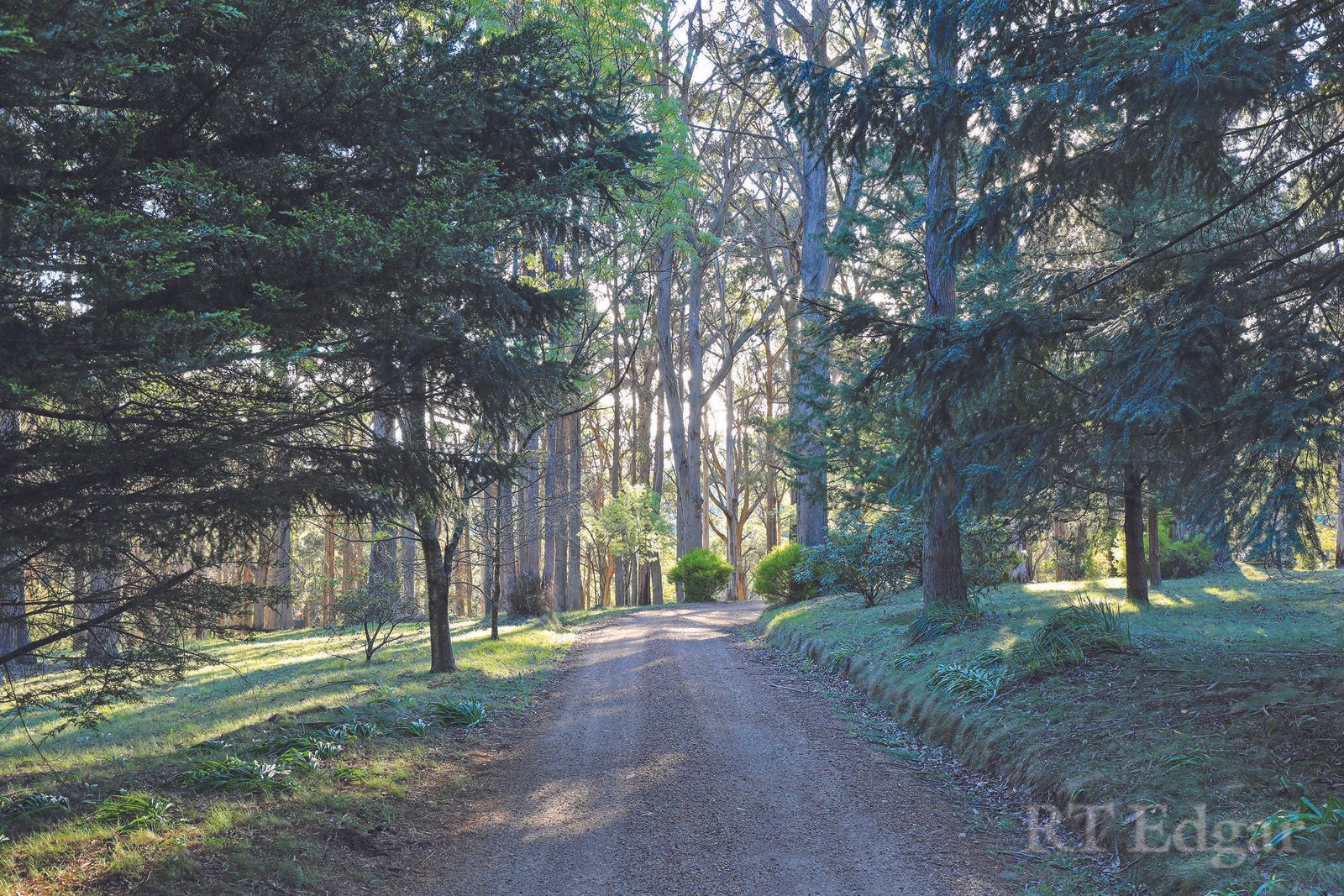 Real Estate and Property in 109 Mountains Road, Mount Macedon, VIC