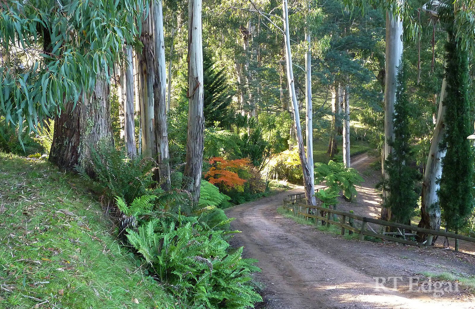Real Estate and Property in 109 Mountains Road, Mount Macedon, VIC
