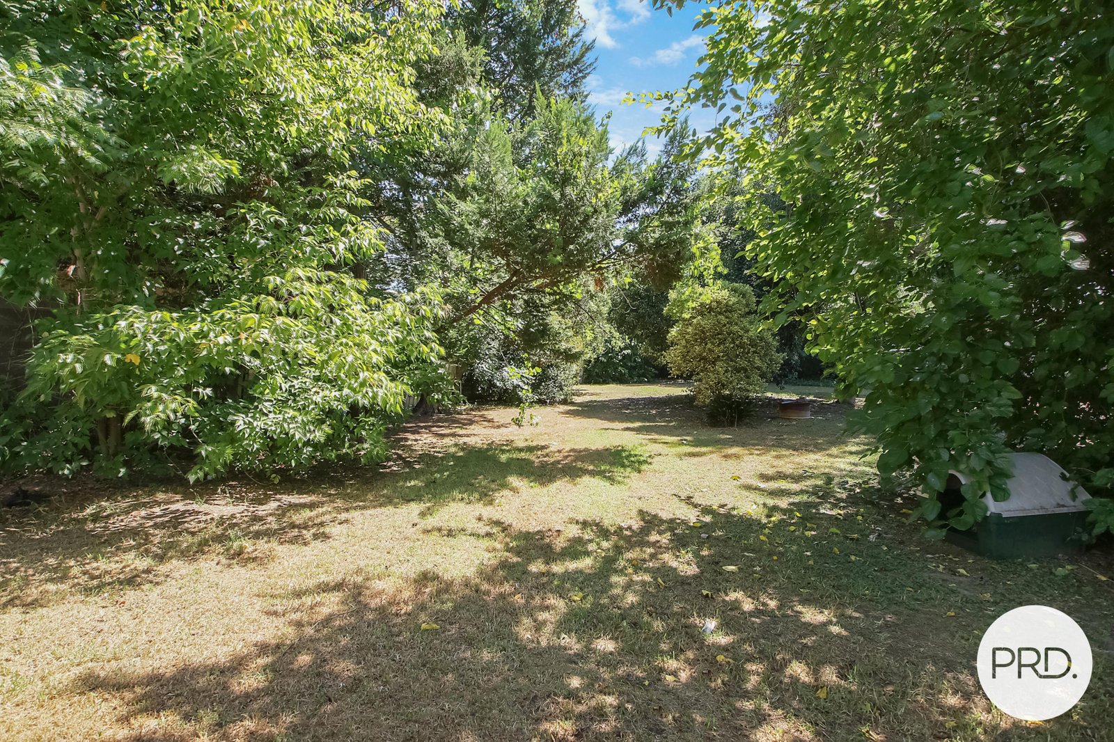 1097 Alemein Avenue NORTH ALBURY 8