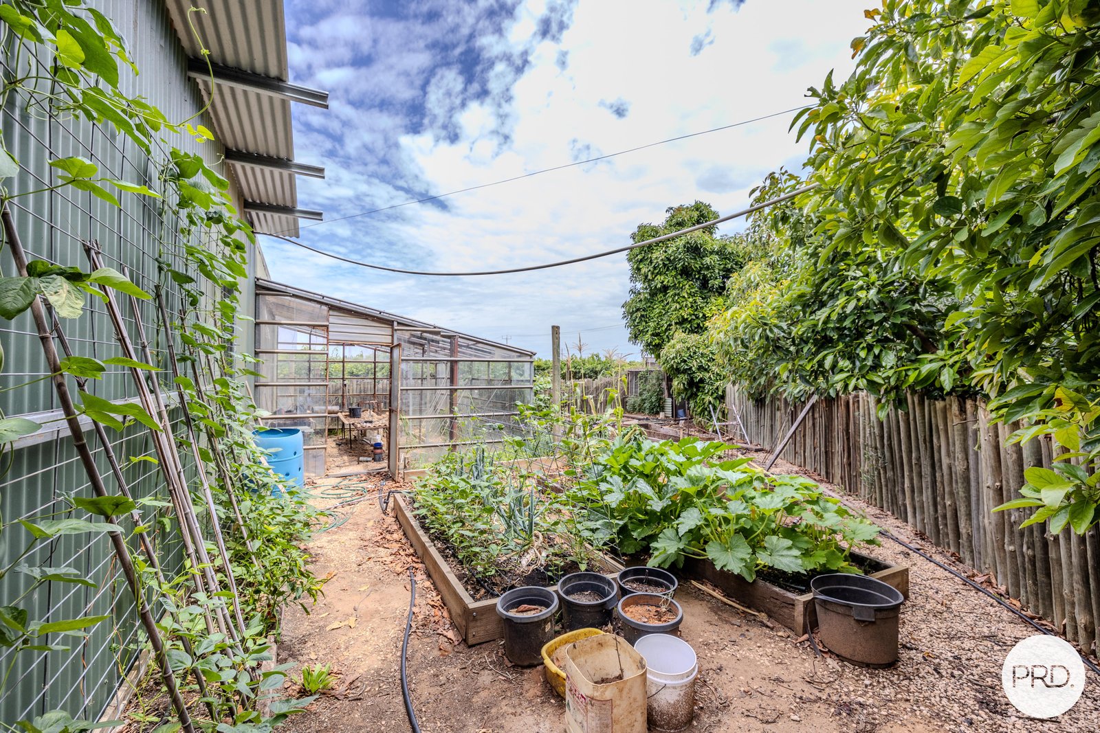 10a Boobook Avenue CARDROSS 28