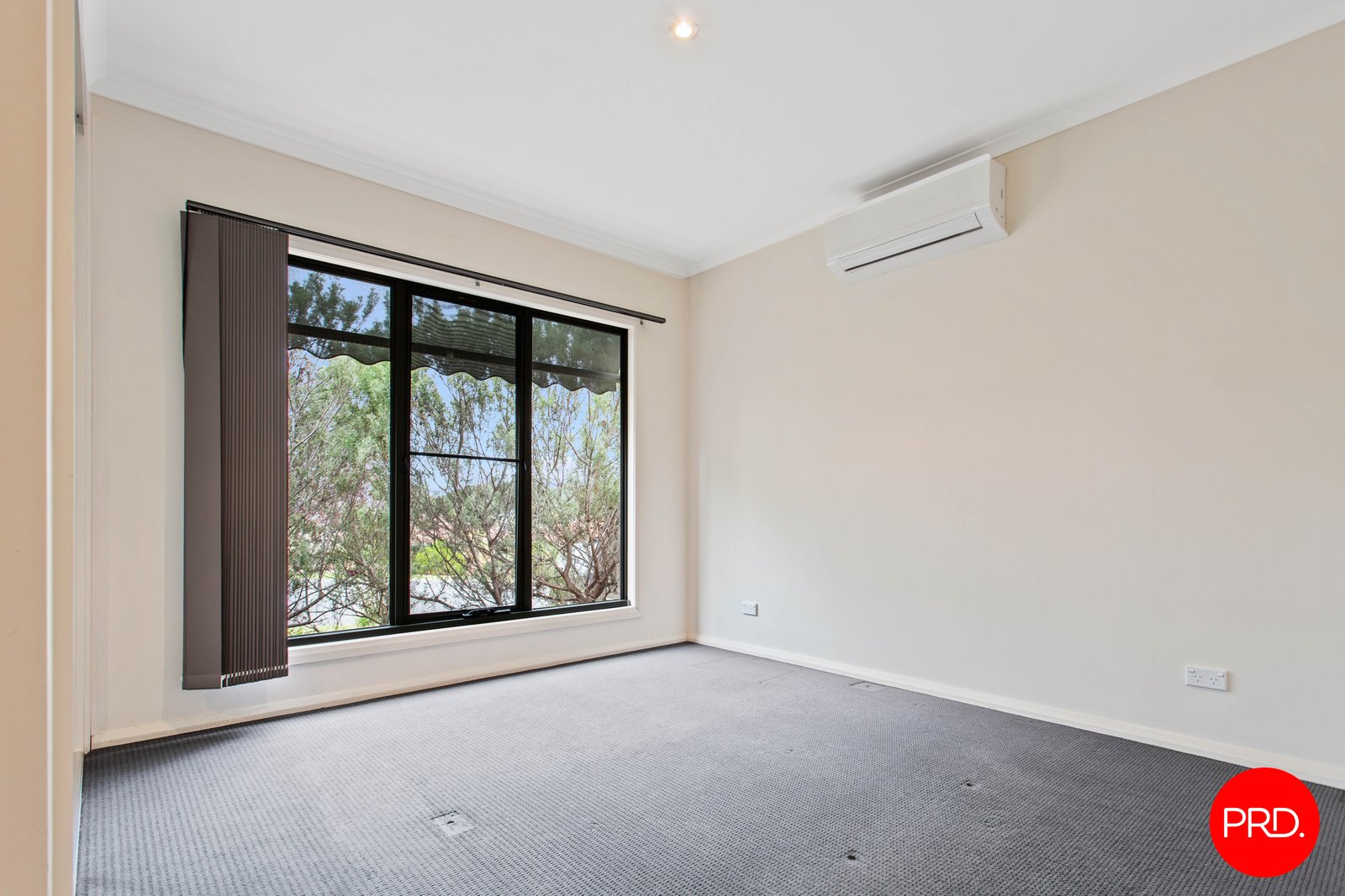 10a Grace Street WHITE HILLS 5