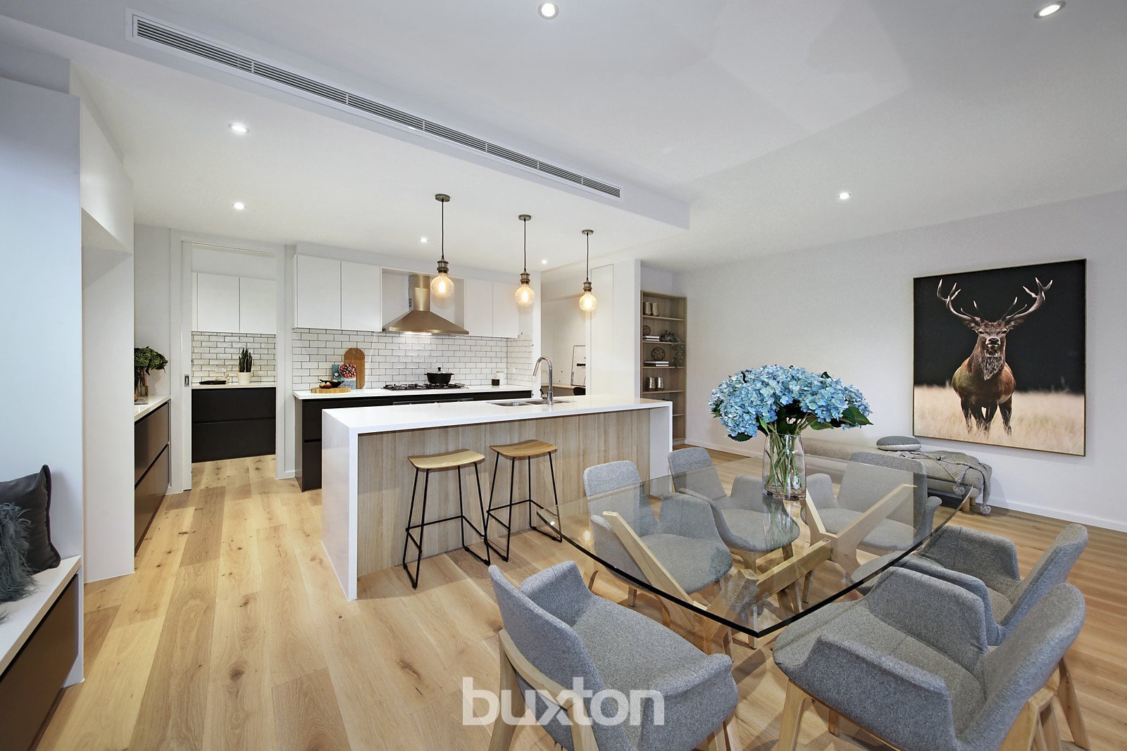 Gallery: 10A Kurrajong Street