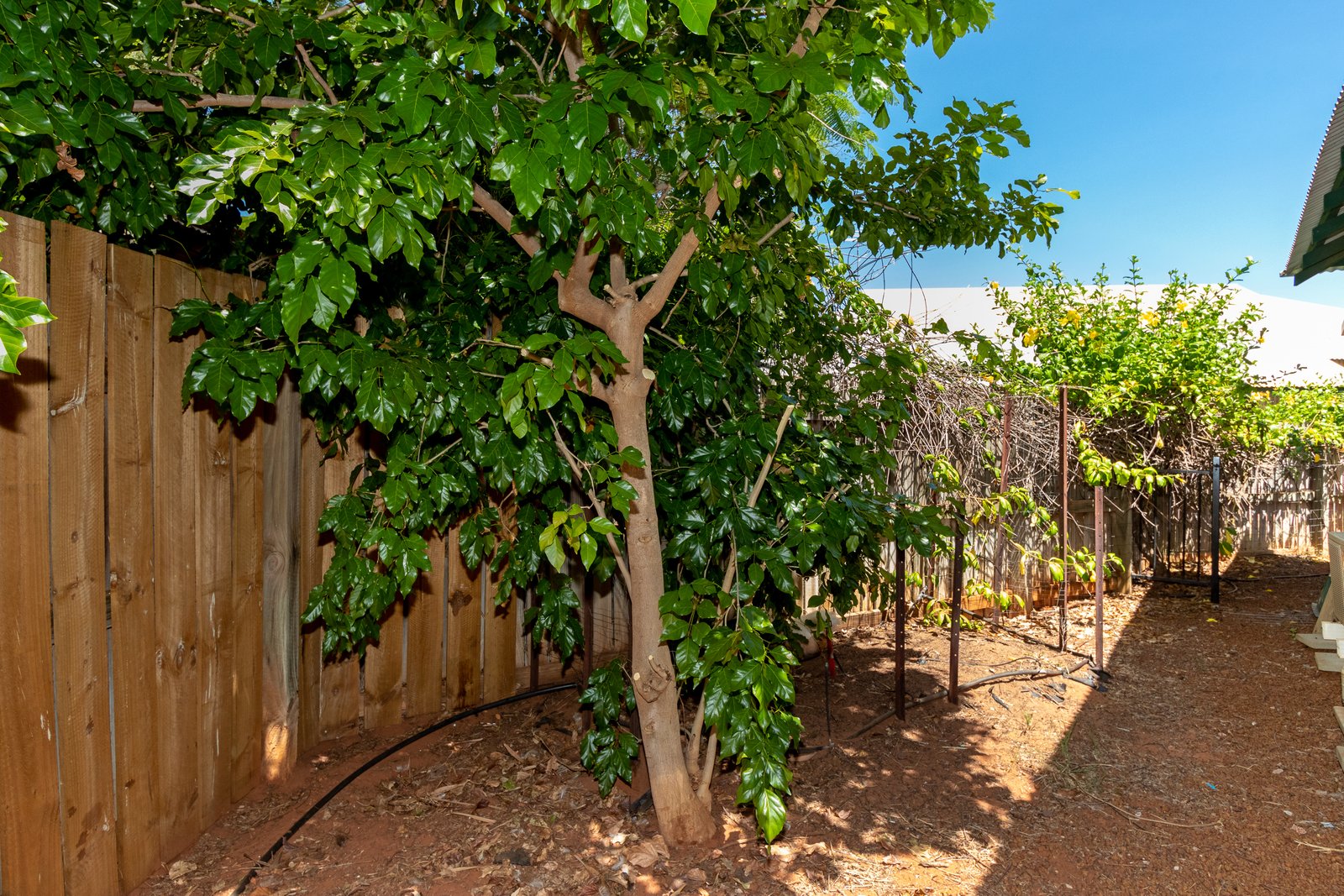 10b Fong Way CABLE BEACH 17
