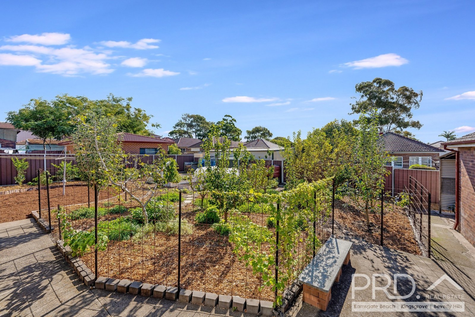 11-13 Banner Road KINGSGROVE 12