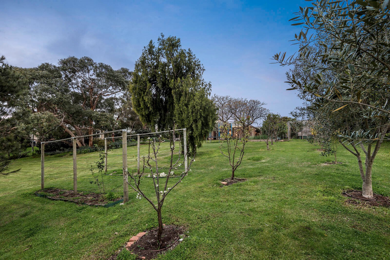 Real Estate and Property in 11-13 Chateau Court, Ocean Grove, VIC