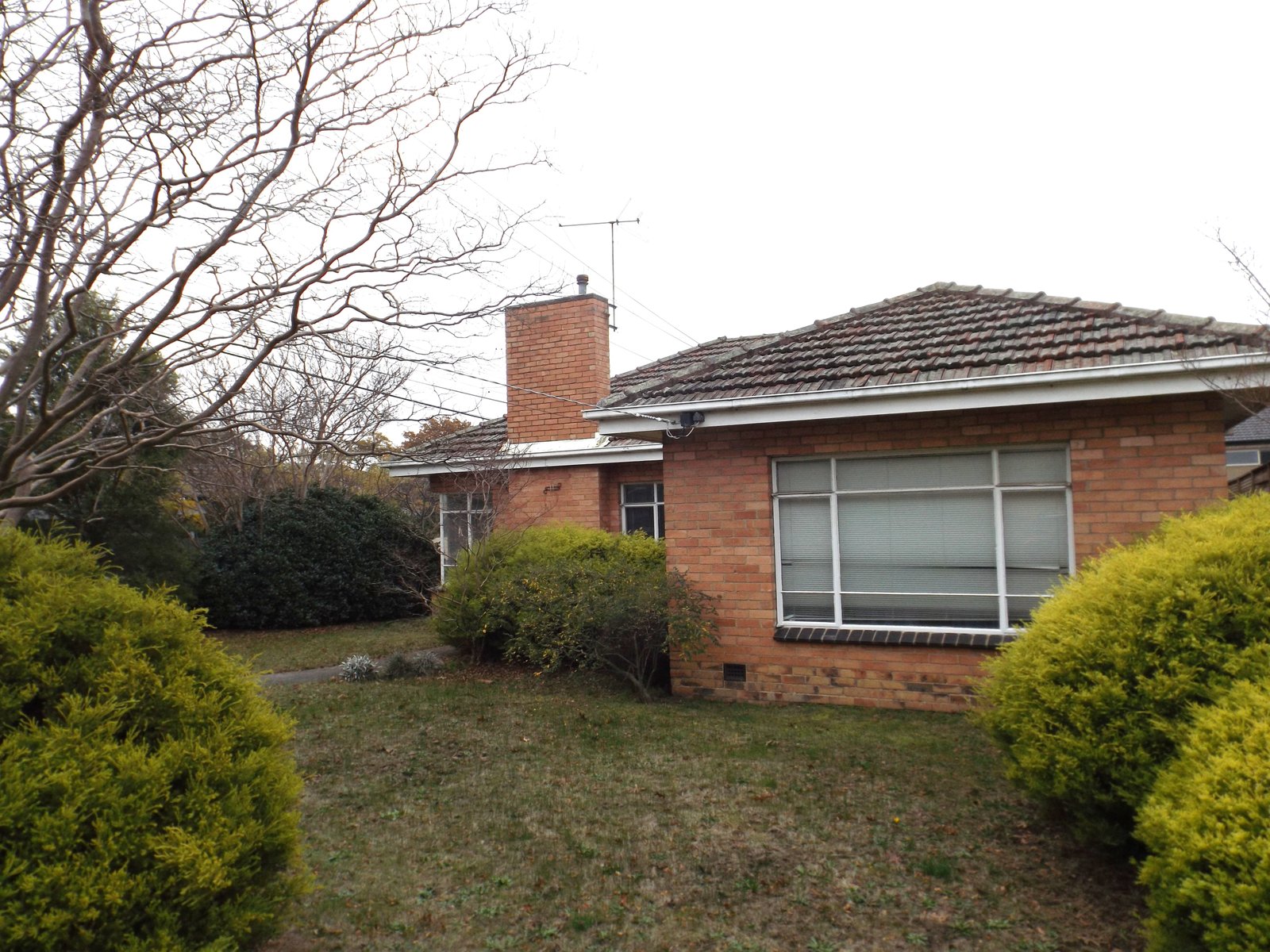 Gallery: 11 Abbotsford Avenue