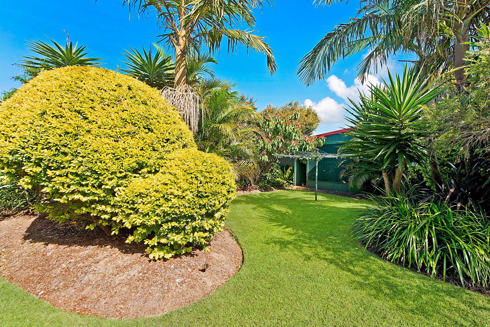 11 Alexander Close DUNBOGAN 19