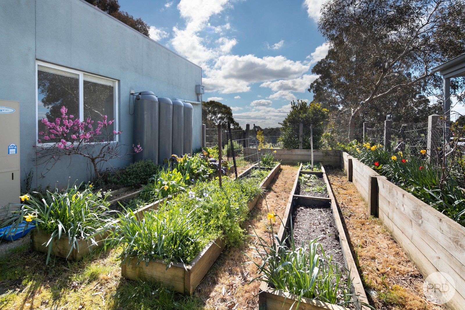 11 Augusta Drive CRESWICK 17