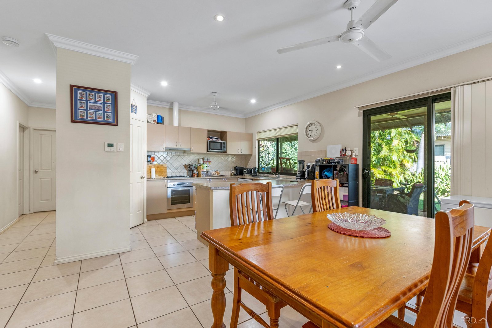 11 Bandicoot Loop DJUGUN 3