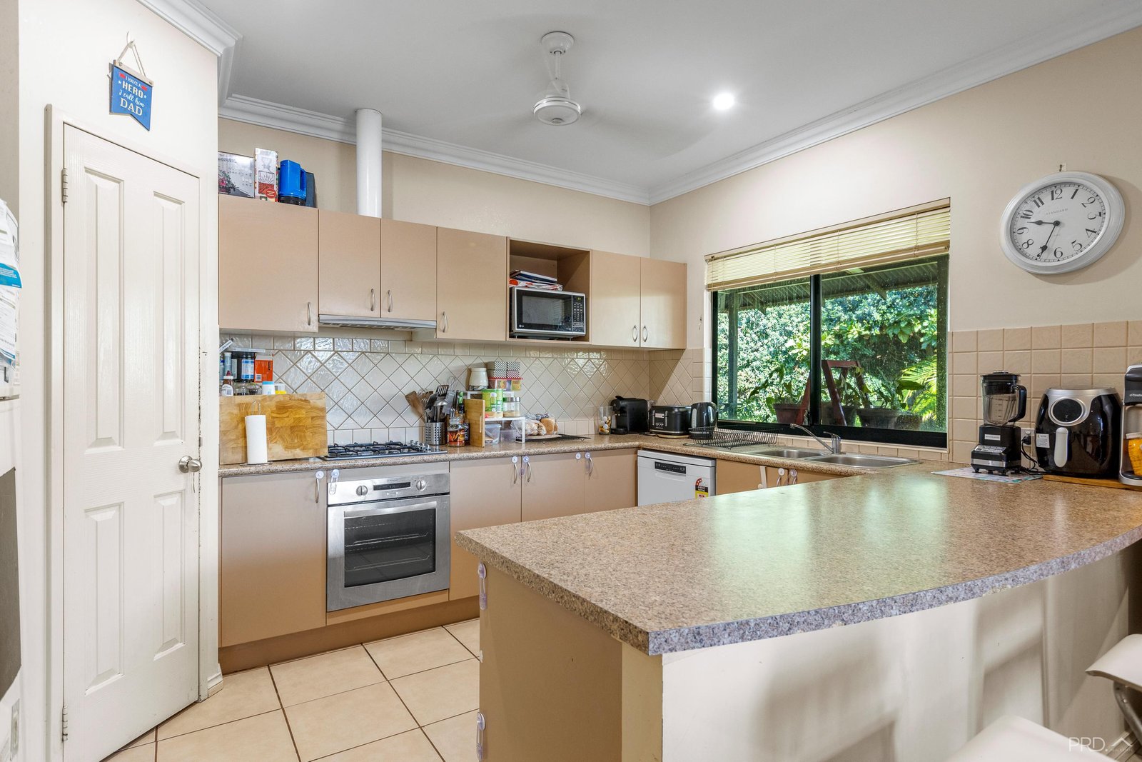 11 Bandicoot Loop DJUGUN 5