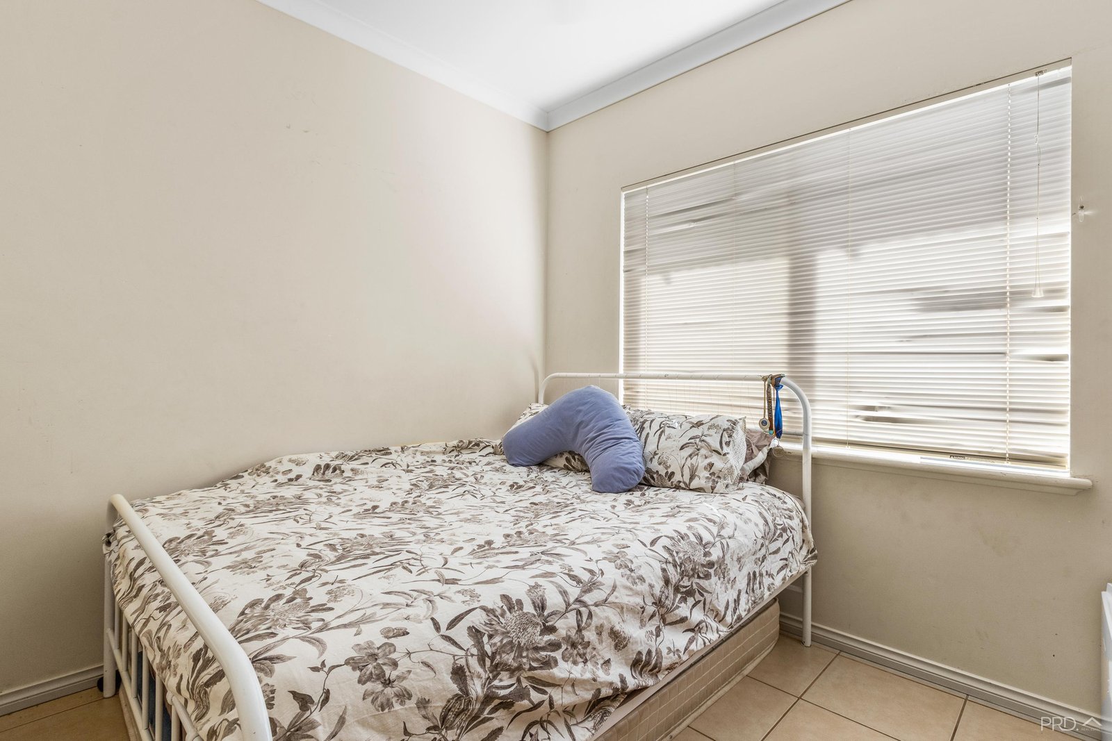 11 Bandicoot Loop DJUGUN 10