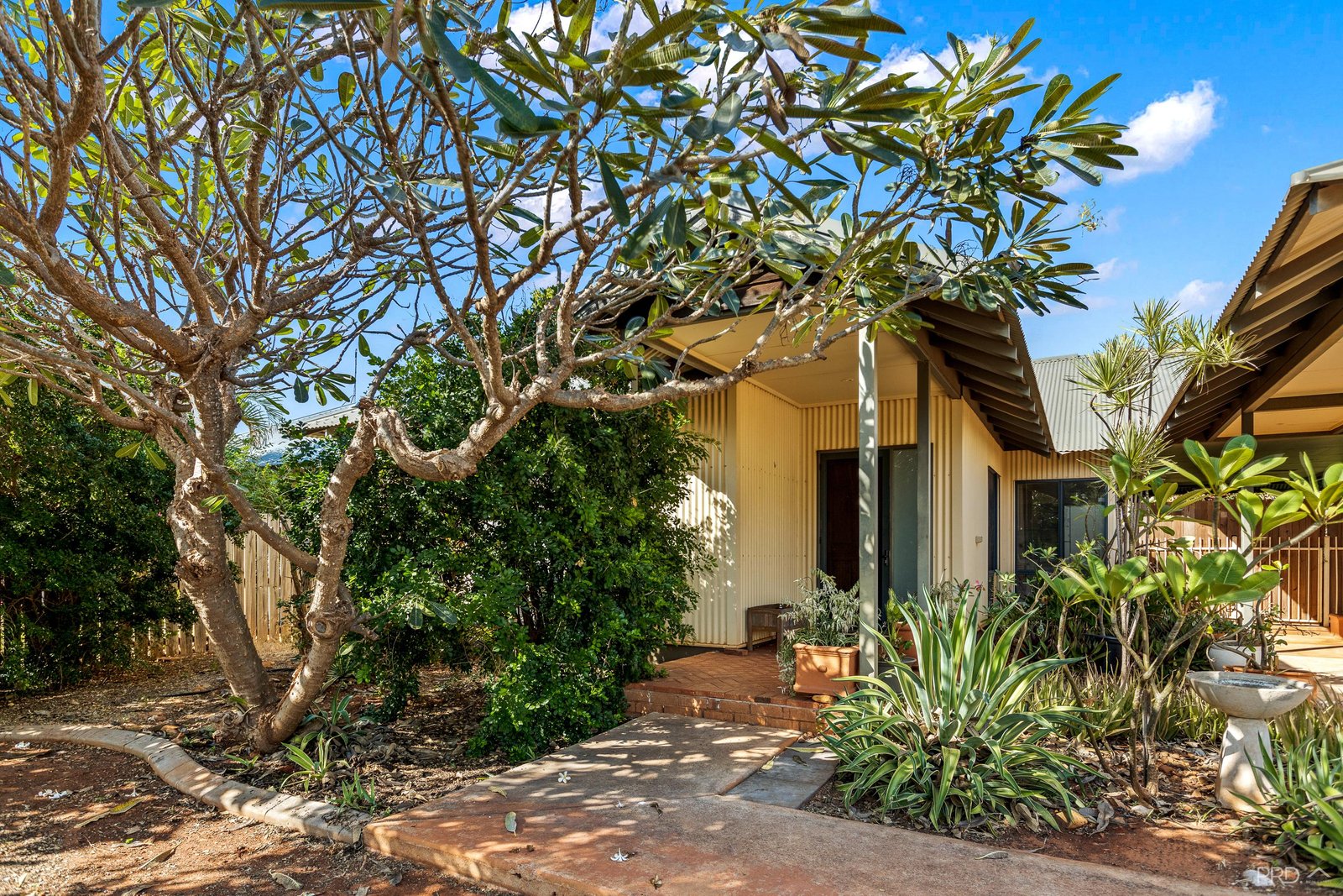 11 Bandicoot Loop DJUGUN 15