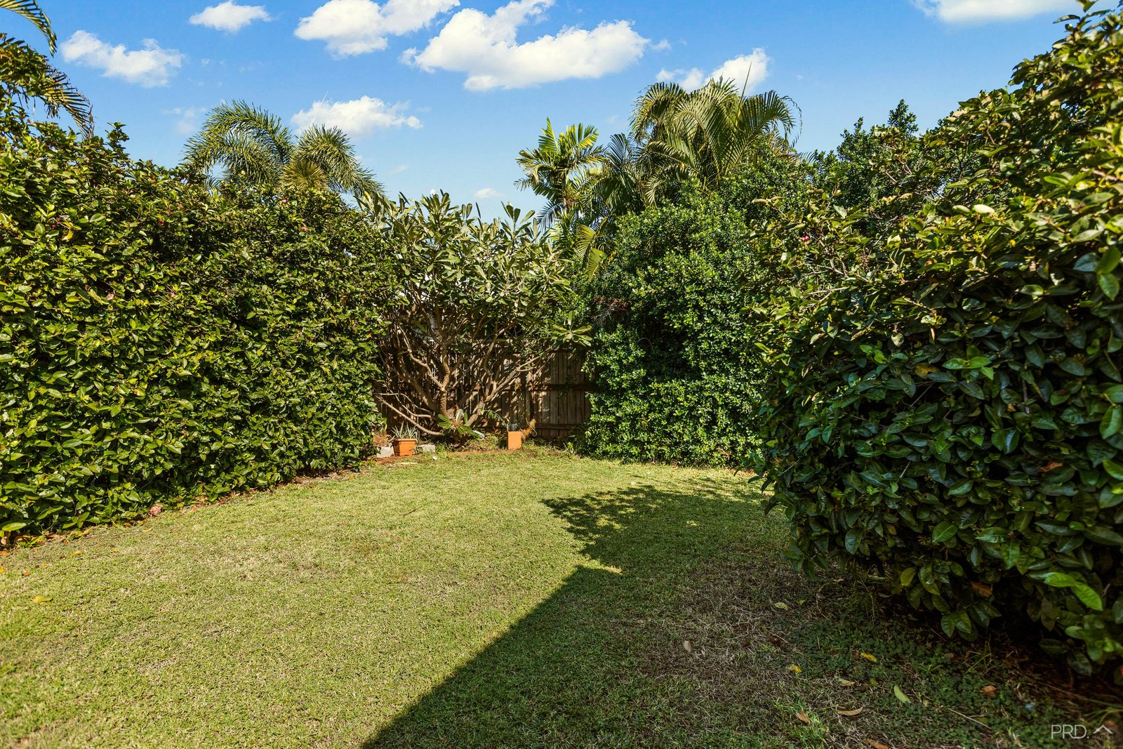 11 Bandicoot Loop DJUGUN 20