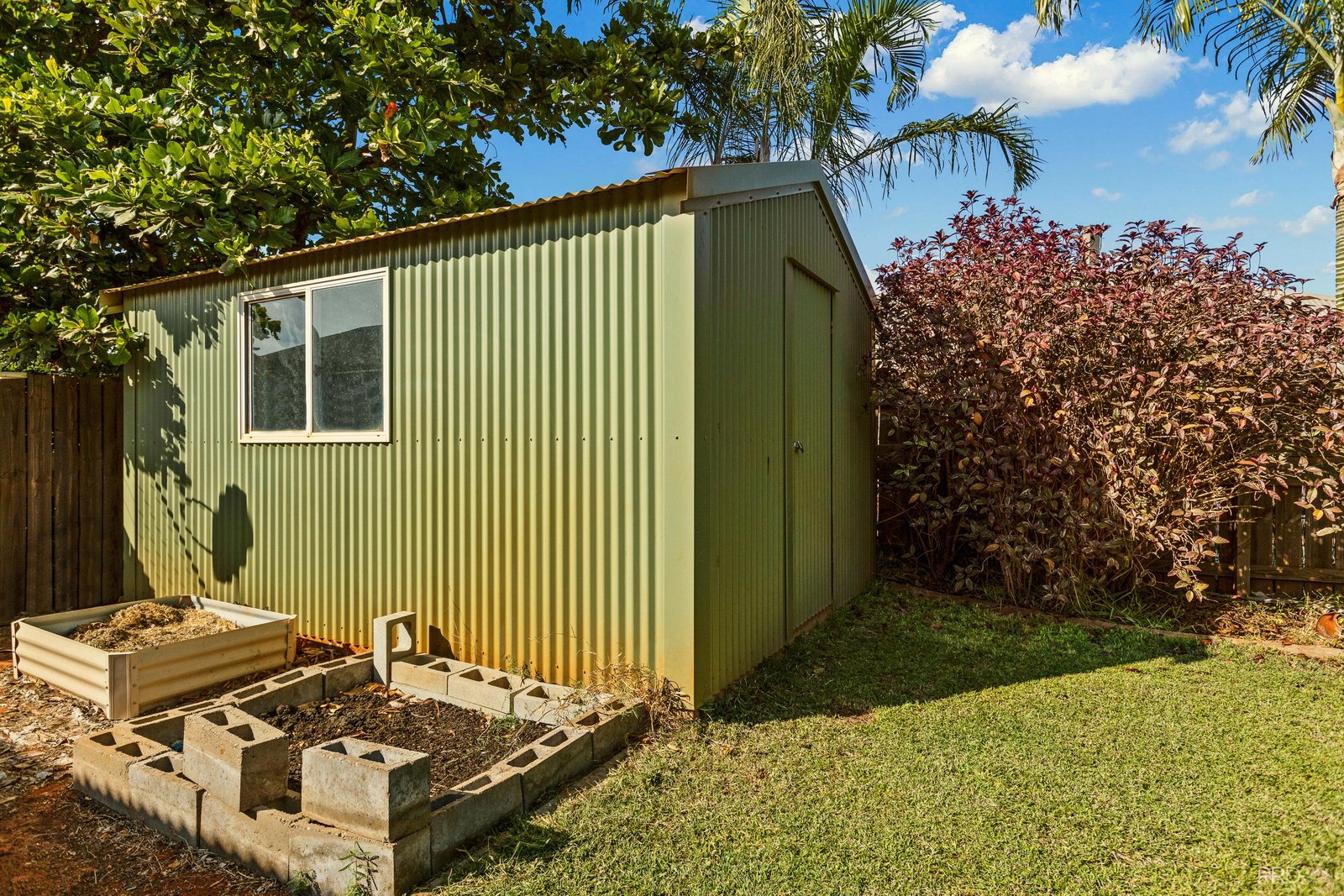 11 Bandicoot Loop DJUGUN 21