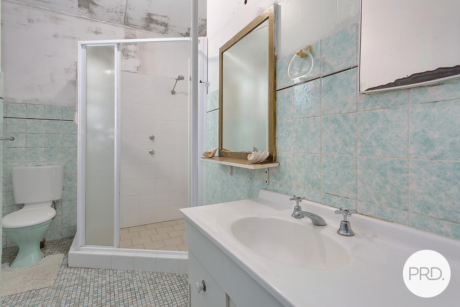 11 Bartlett Street BONNY HILLS 11