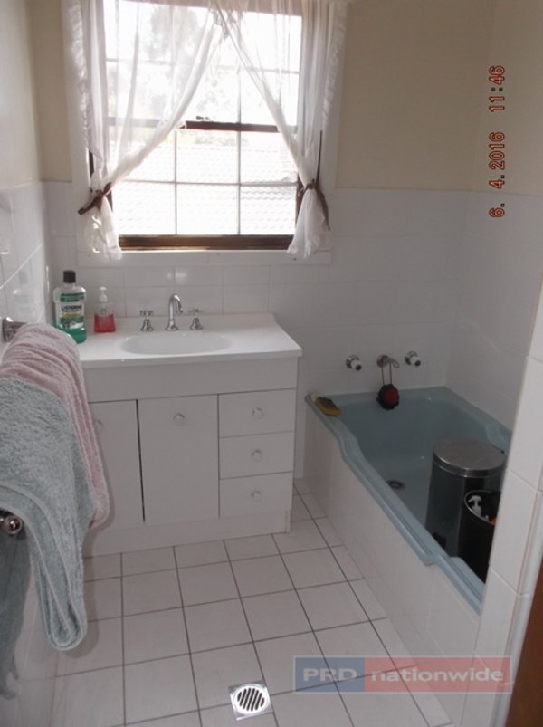 11 Birch Street BATLOW 17