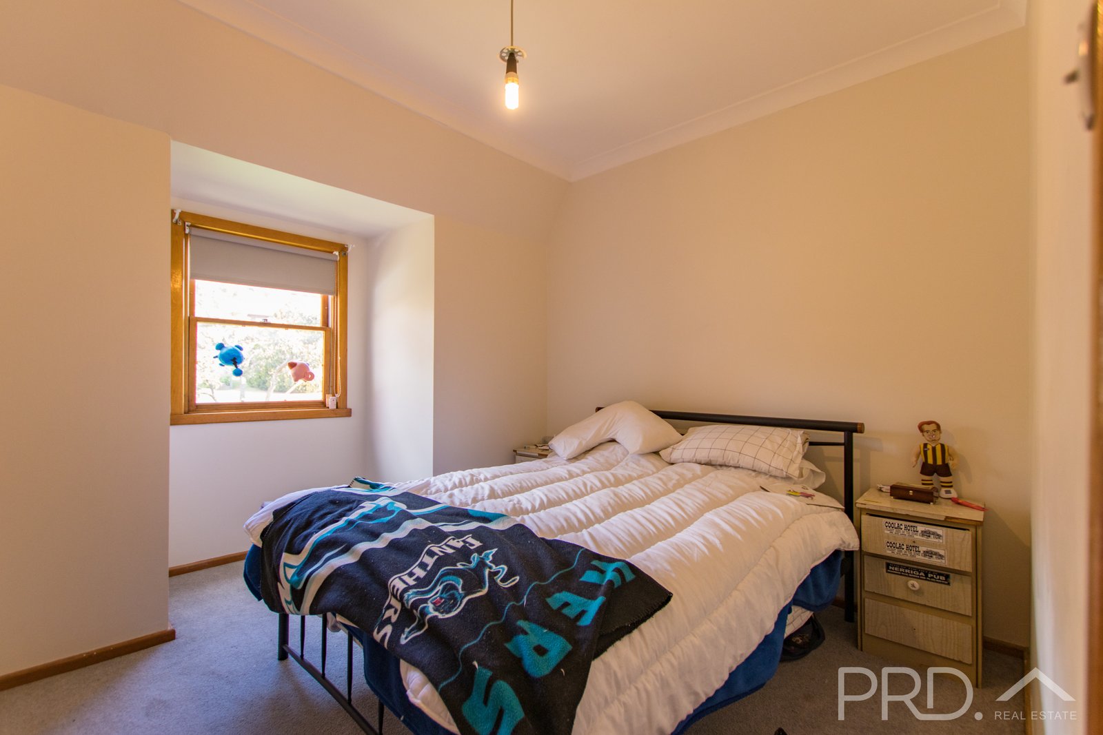 11 Birch Street BATLOW 7