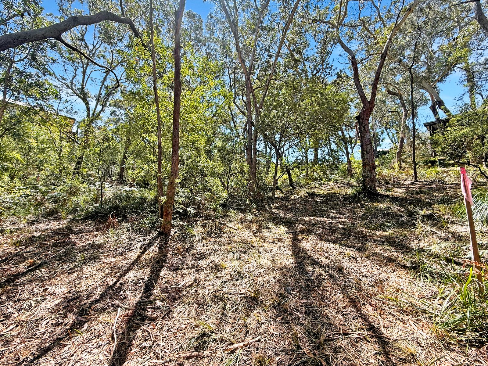 11 Birramal Drive DUNBOGAN 2