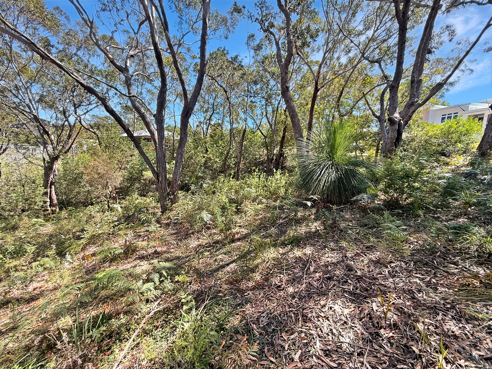 11 Birramal Drive DUNBOGAN 3