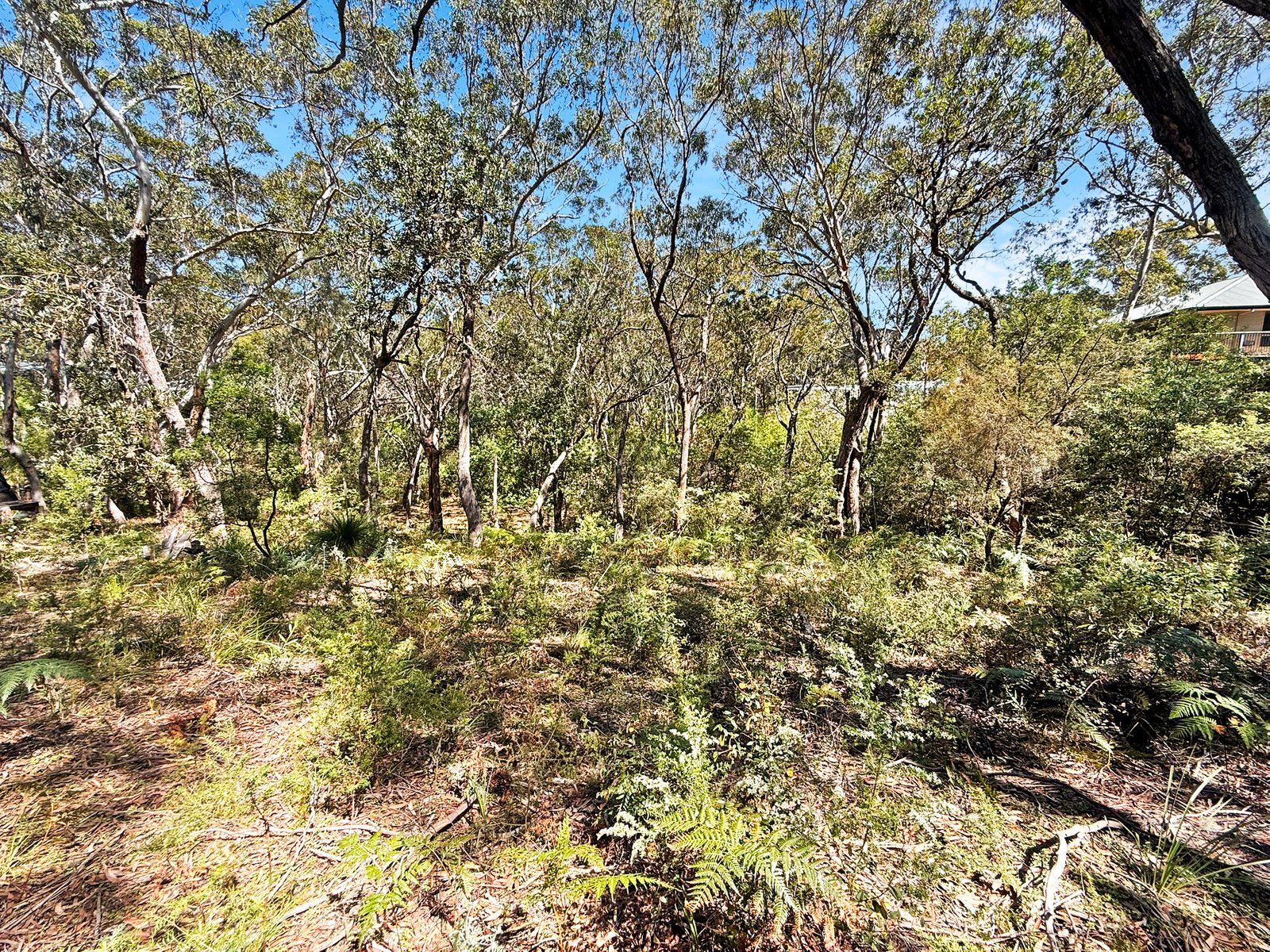 11 Birramal Drive DUNBOGAN 7