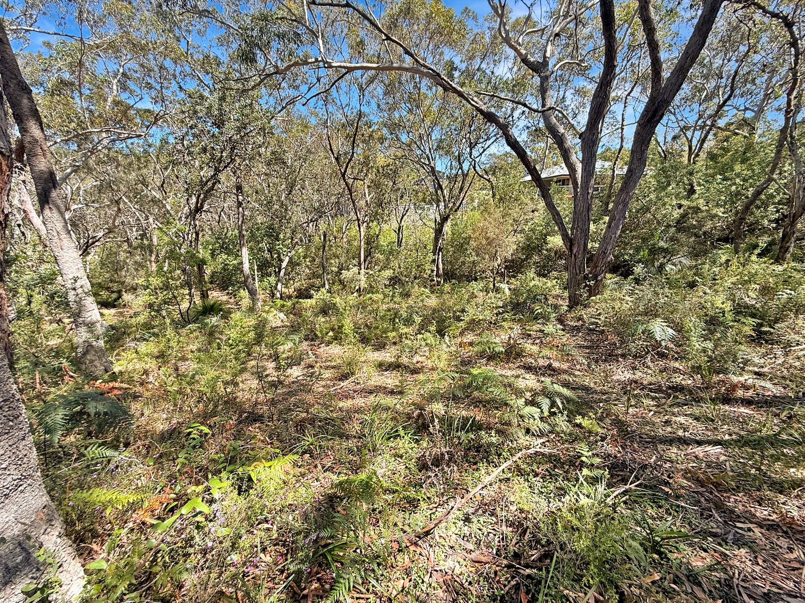 11 Birramal Drive DUNBOGAN 8