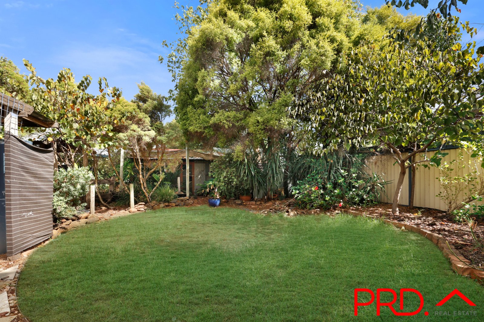 11 Bruce Street TAMWORTH 24