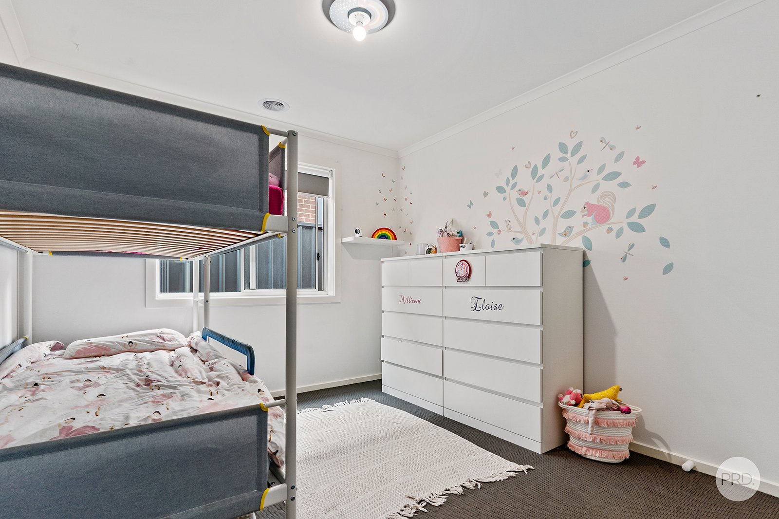 11 Buxton Street JACKASS FLAT 8