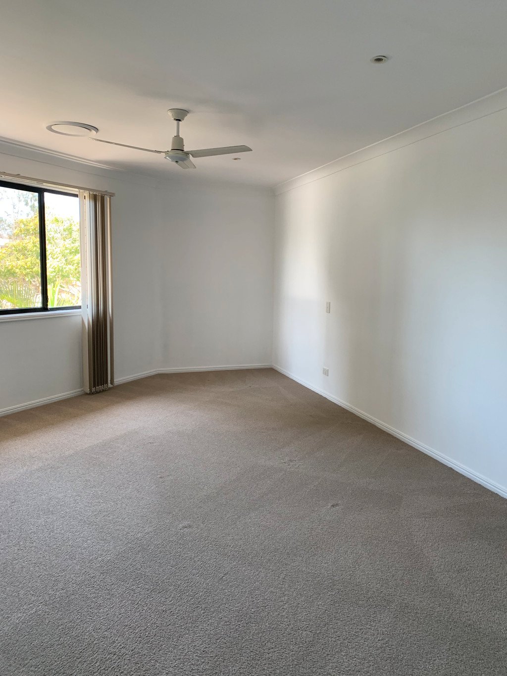 11 Cairns Avenue PALM BEACH 15