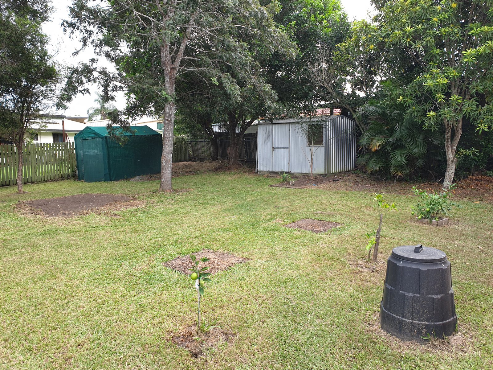 11 Caladium St  STRATHPINE 2