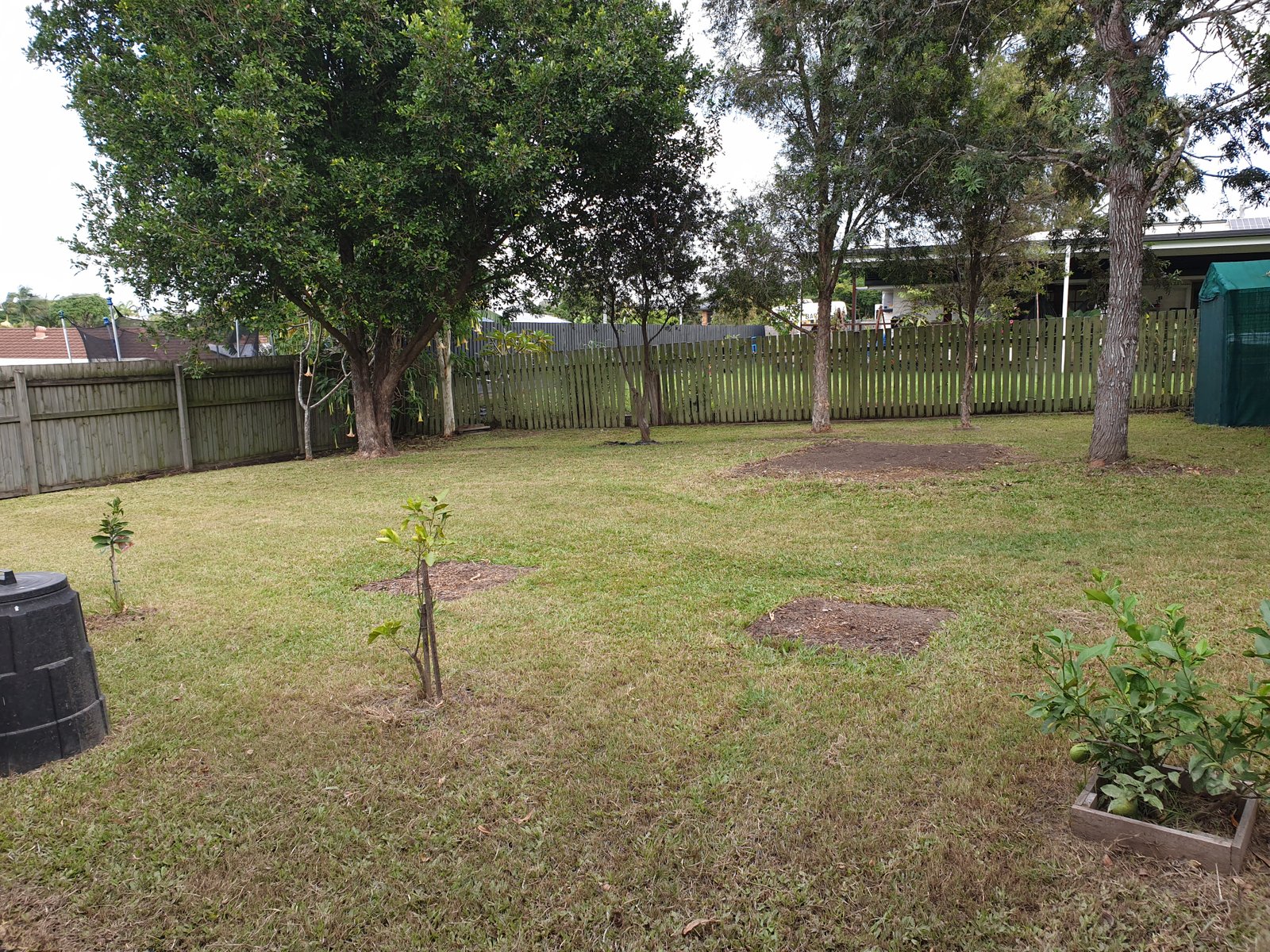 11 Caladium St  STRATHPINE 3
