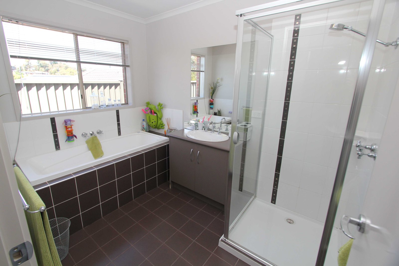 11 Catherine Court BROWN HILL 12