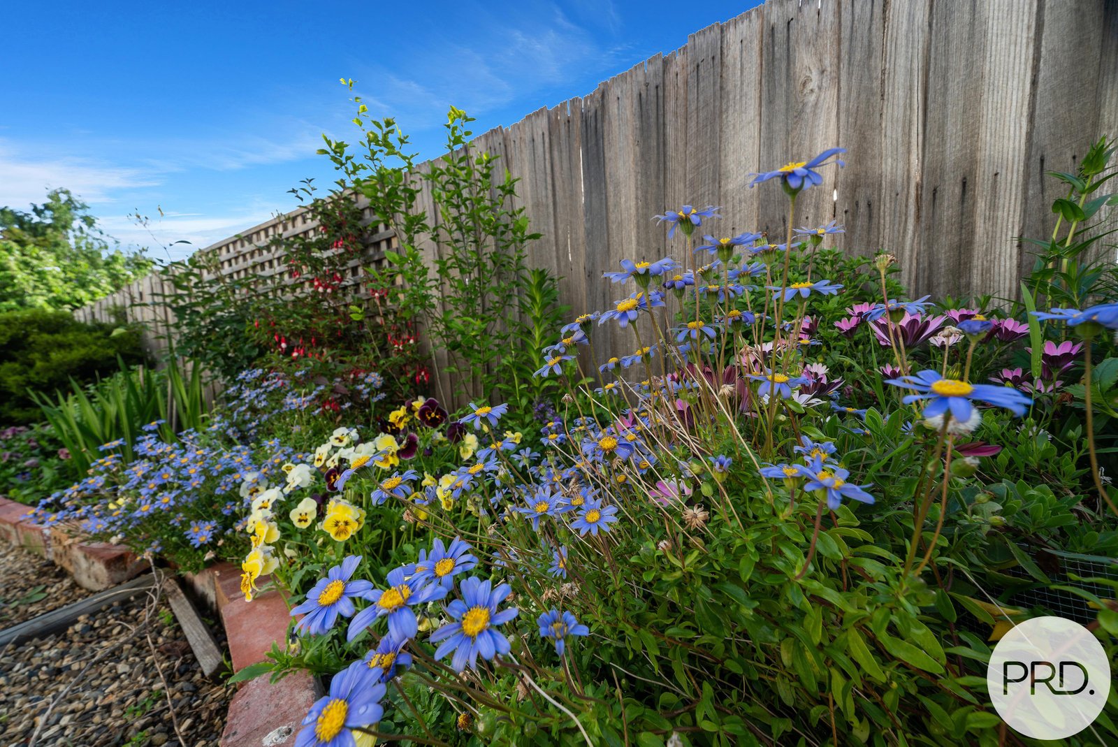 1/1 Chestnut Avenue LUTANA 14