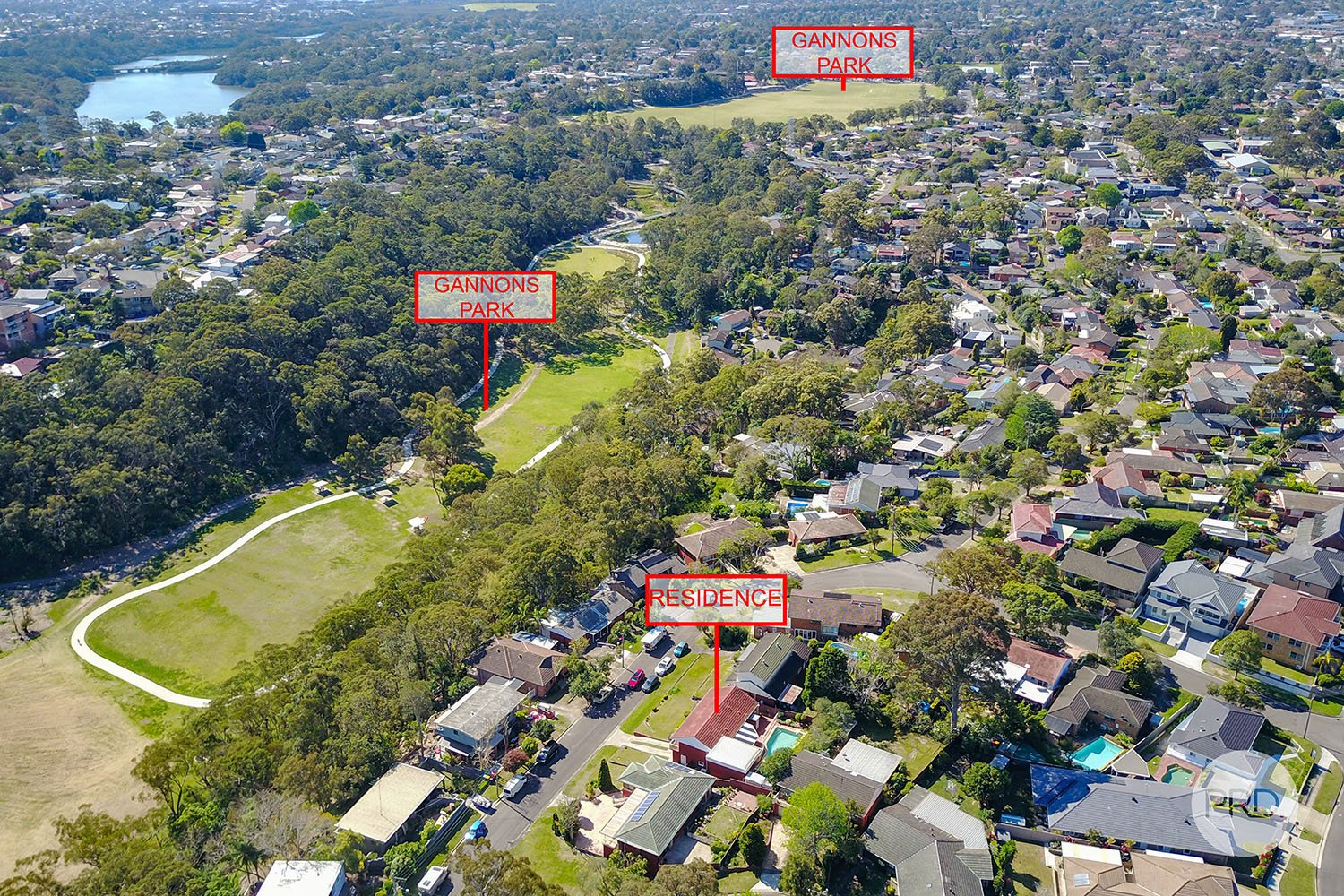 11 Cliff Avenue PEAKHURST HEIGHTS 12