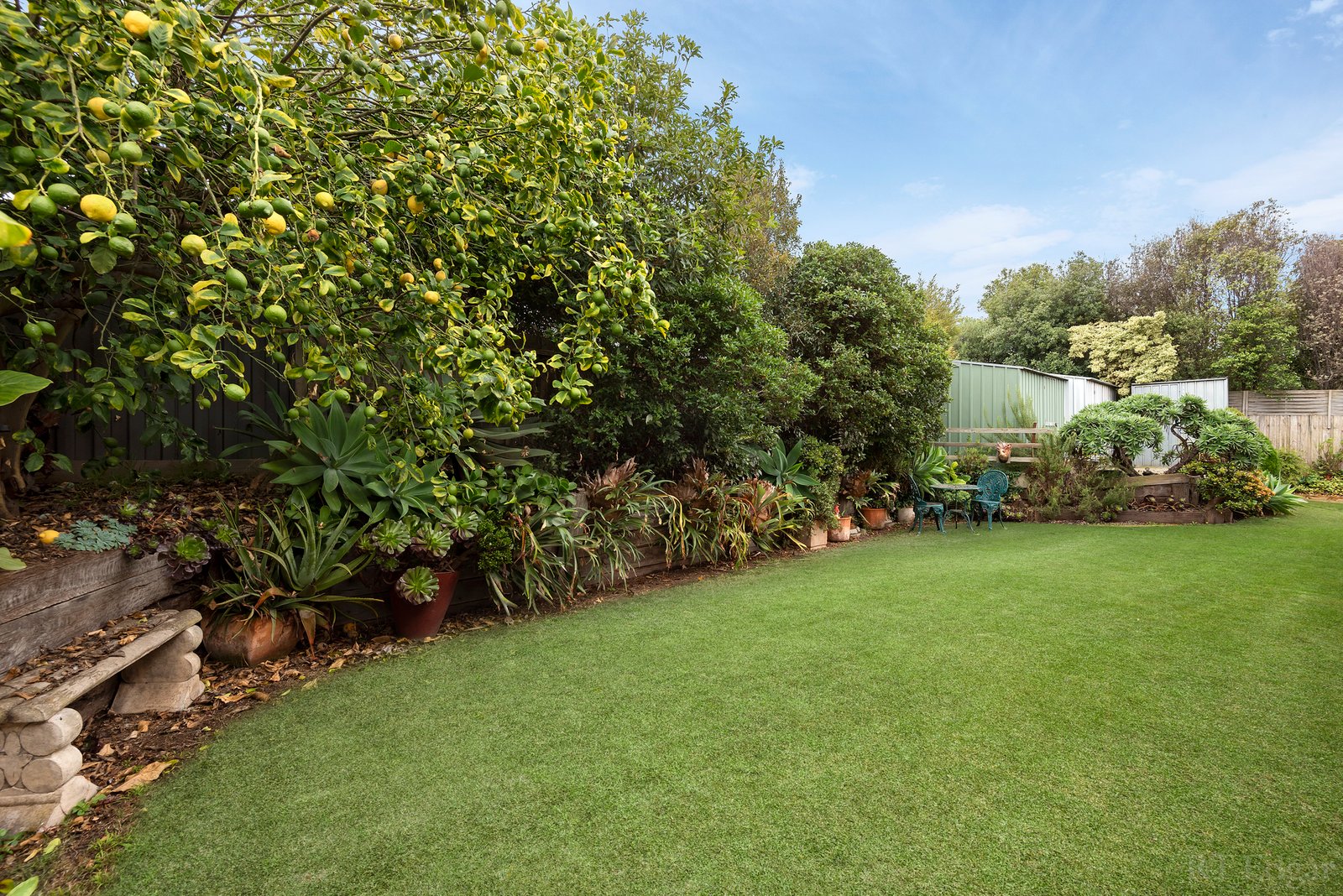 Real Estate and Property in 11 Curtis Court, Leopold, VIC