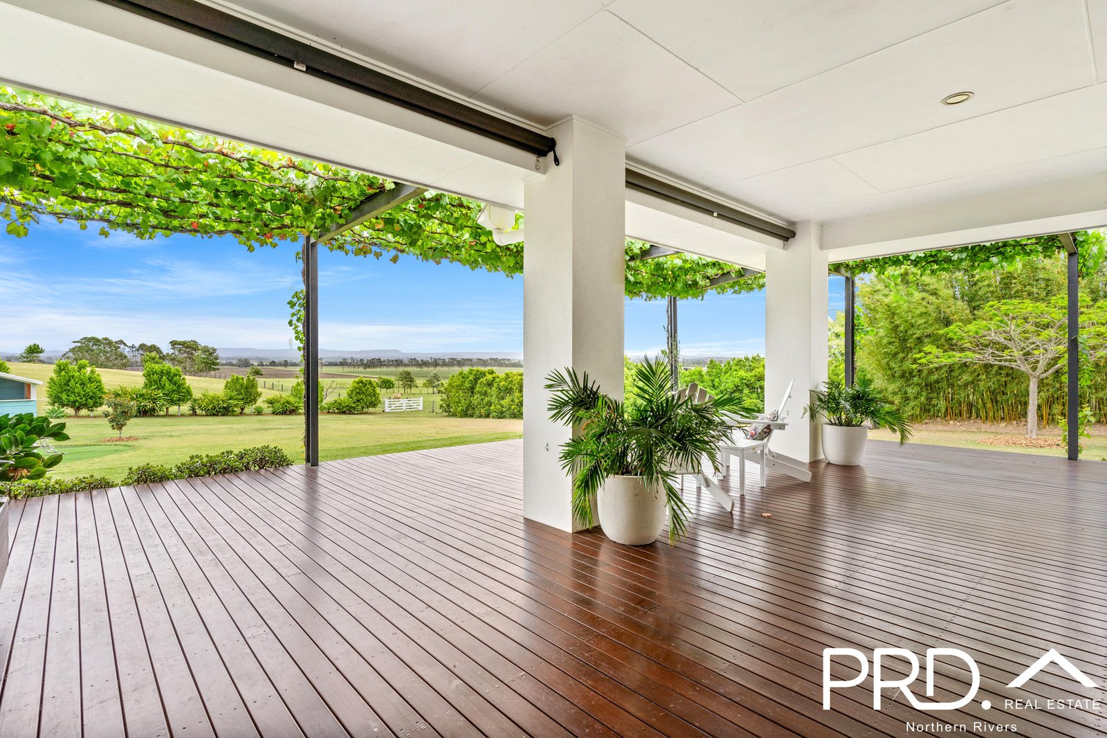 11 Daisy Place FAIRY HILL 6