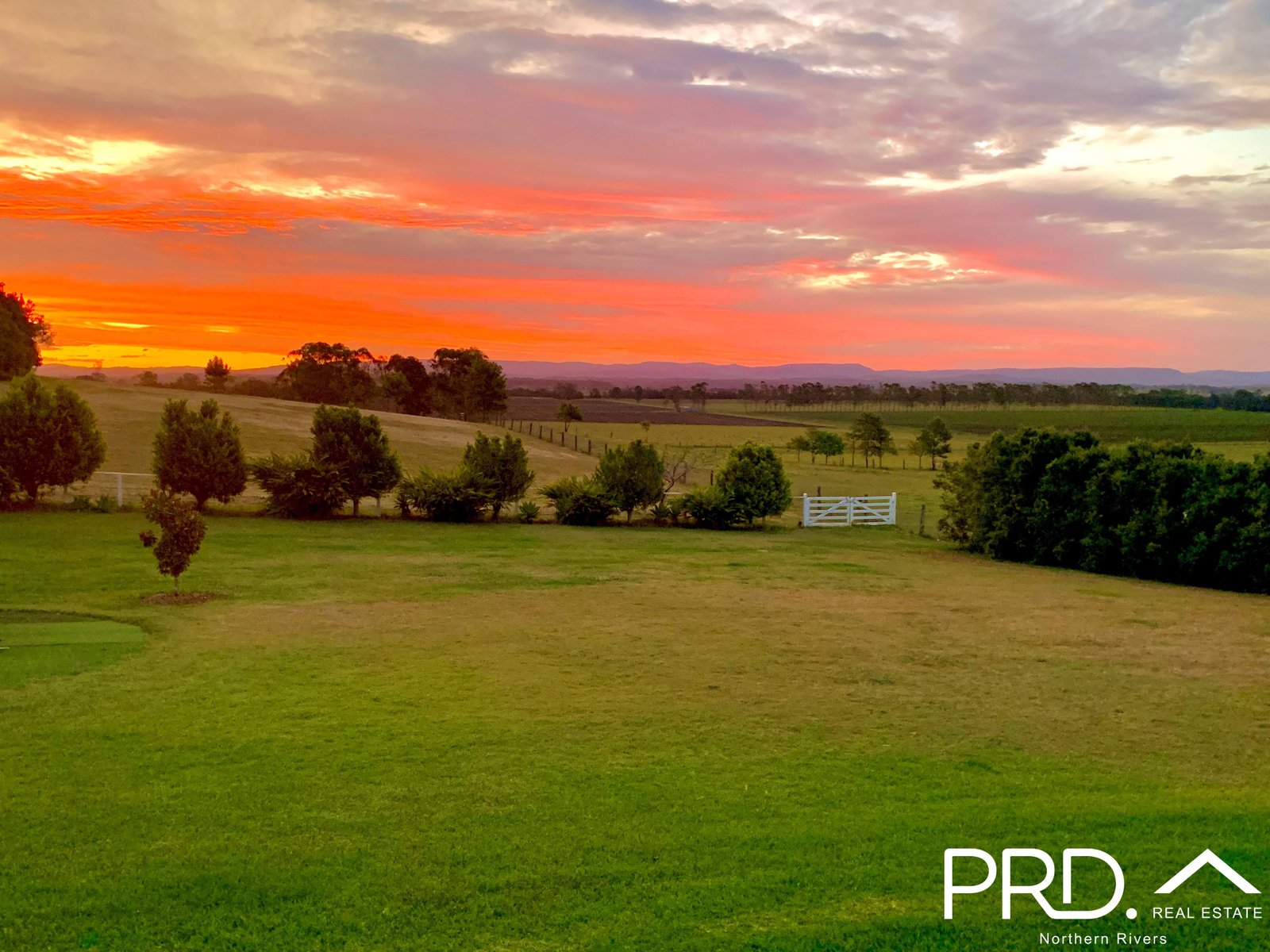 11 Daisy Place FAIRY HILL 17