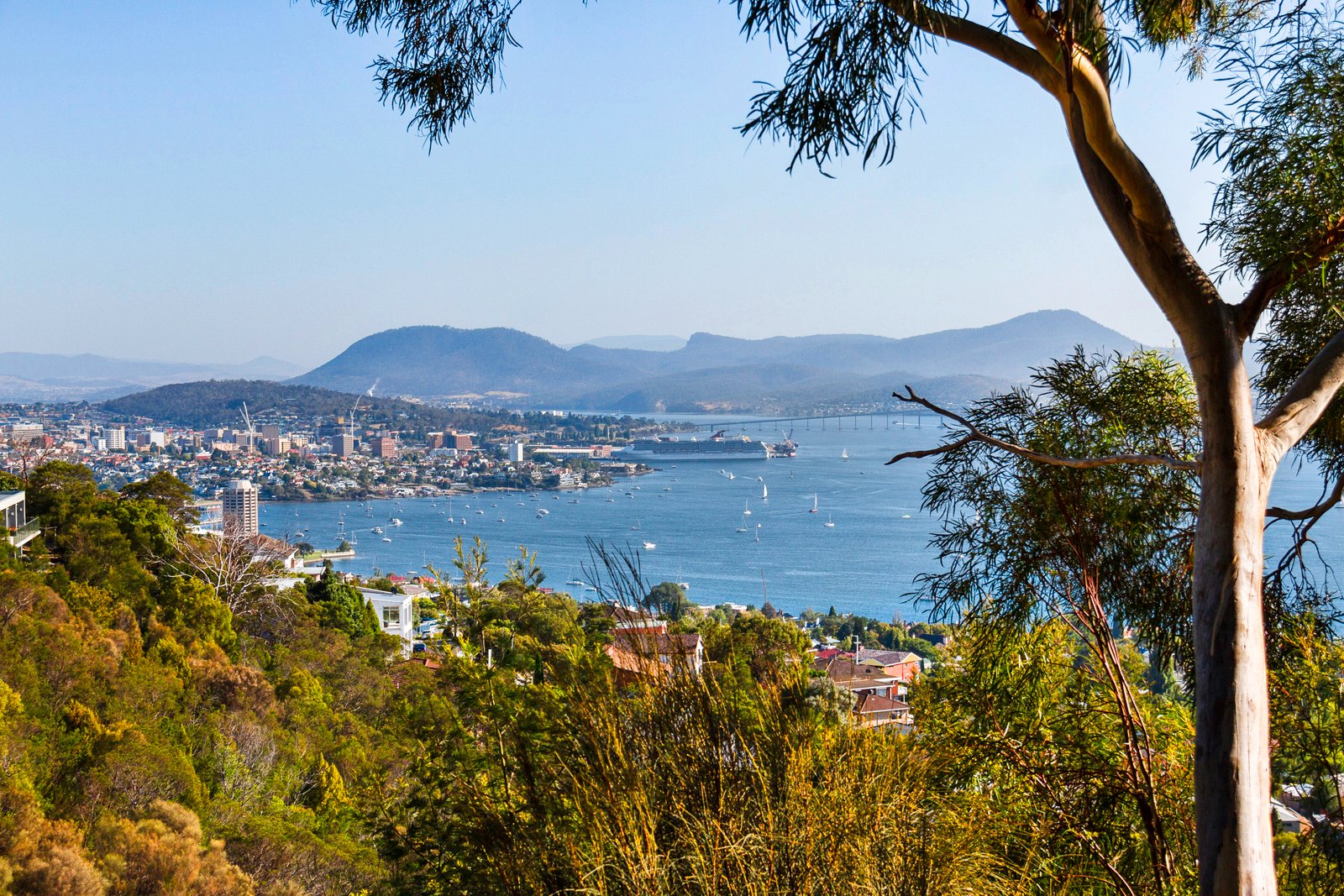 11 Date Court SANDY BAY 10