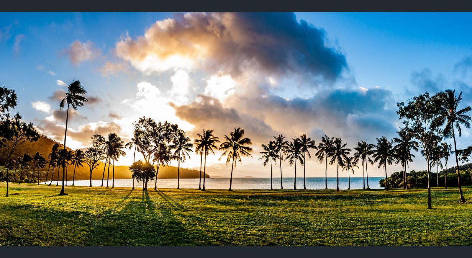 11 Discovery Drive FLAMETREE 2