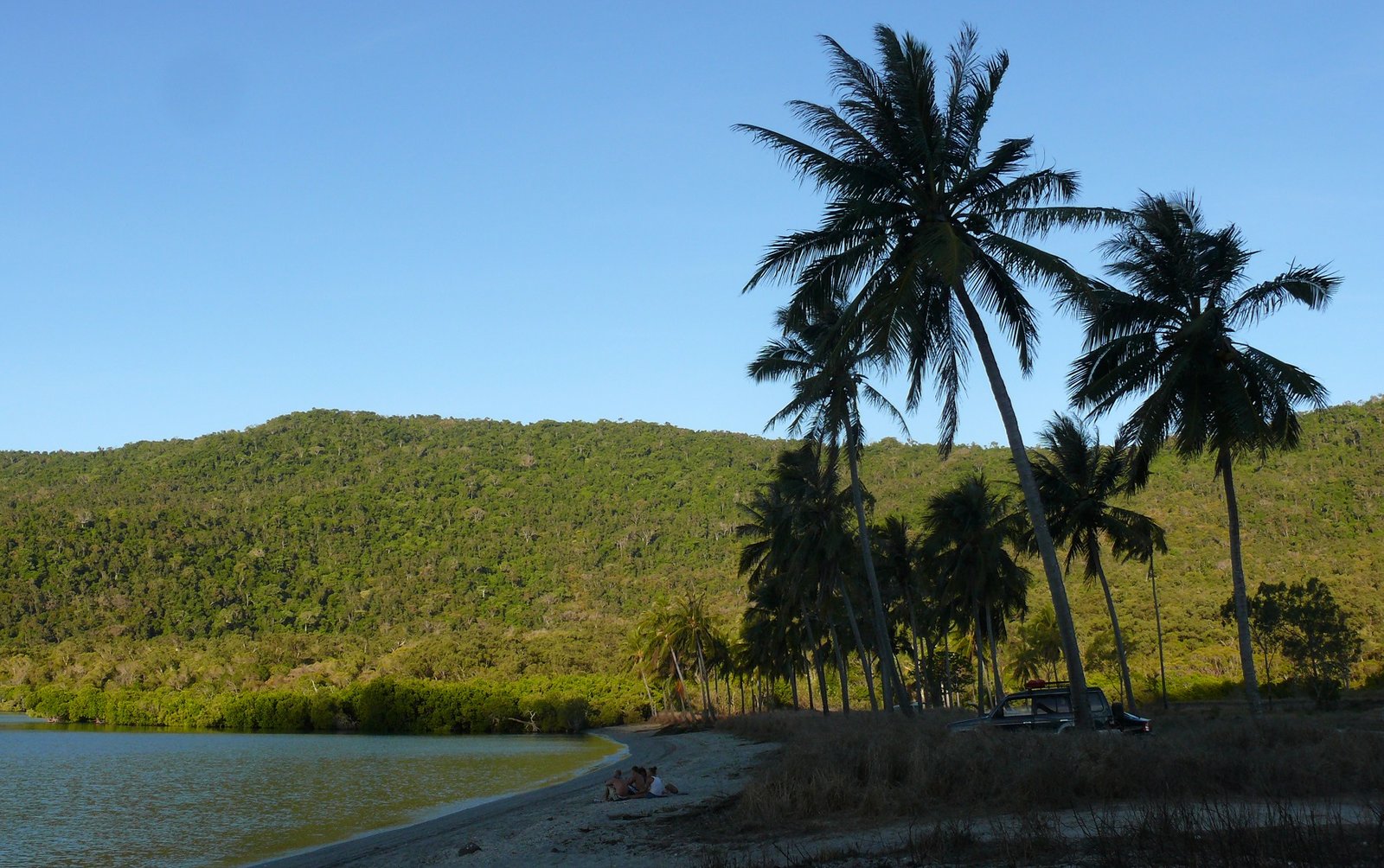 11 Discovery Drive FLAMETREE 20